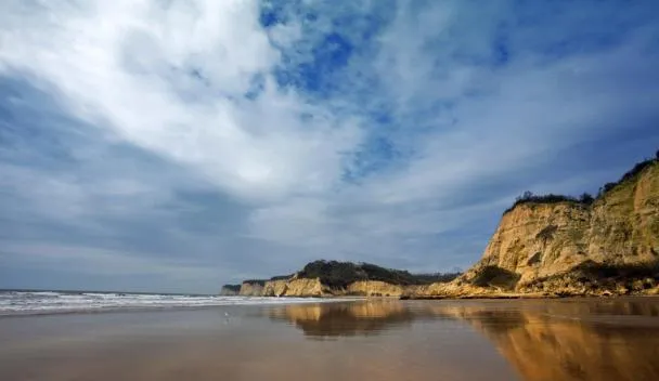 Canoa Ecuador travel guide – panoramic beach view with surfers and palm-lined coast