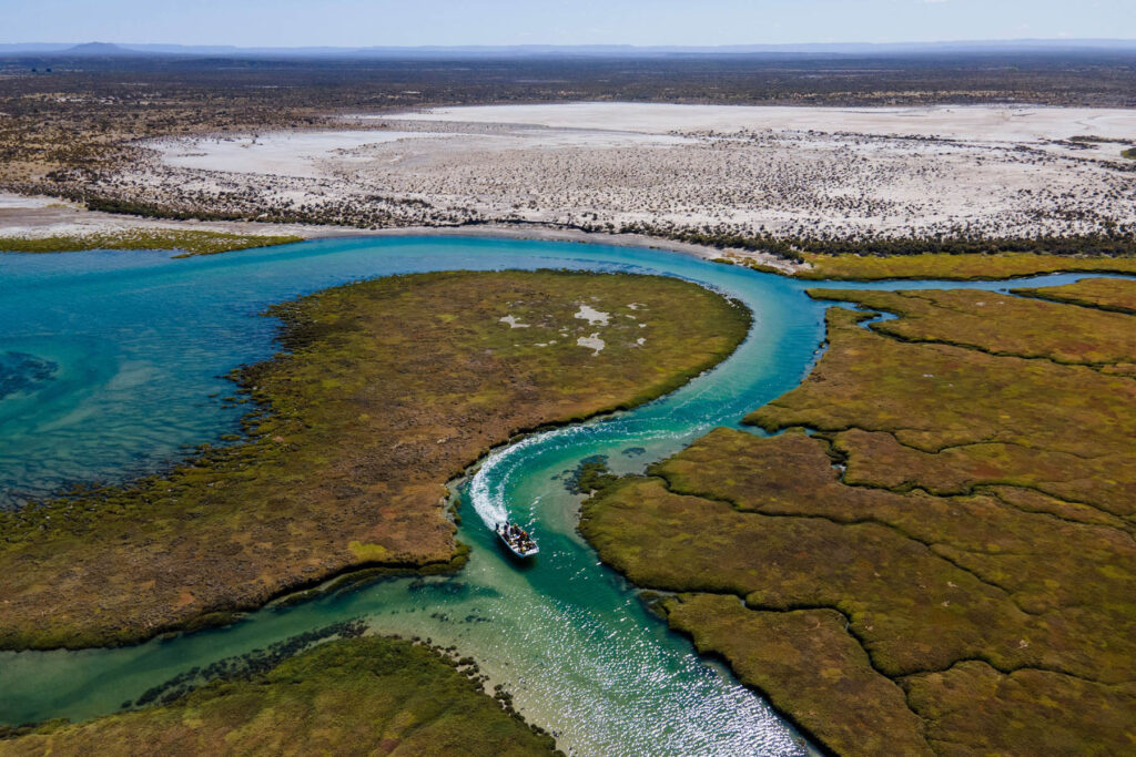 Secluded beaches and abundant wildlife set the scene for your Bahía Bustamante Argentina 5 Day Itinerary, where Patagonia’s wild spirit comes alive