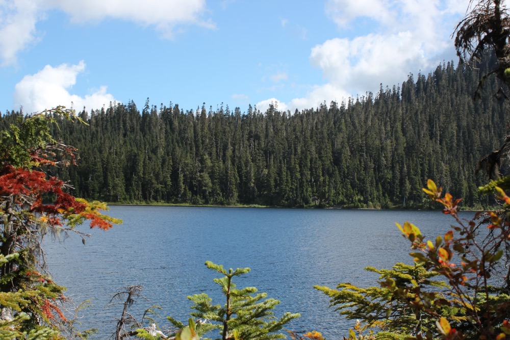 Lake Ouachita August nature escape