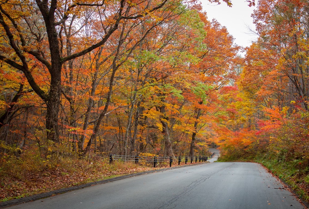 Fall foliage New England on scenic drives like Kancamagus Highway