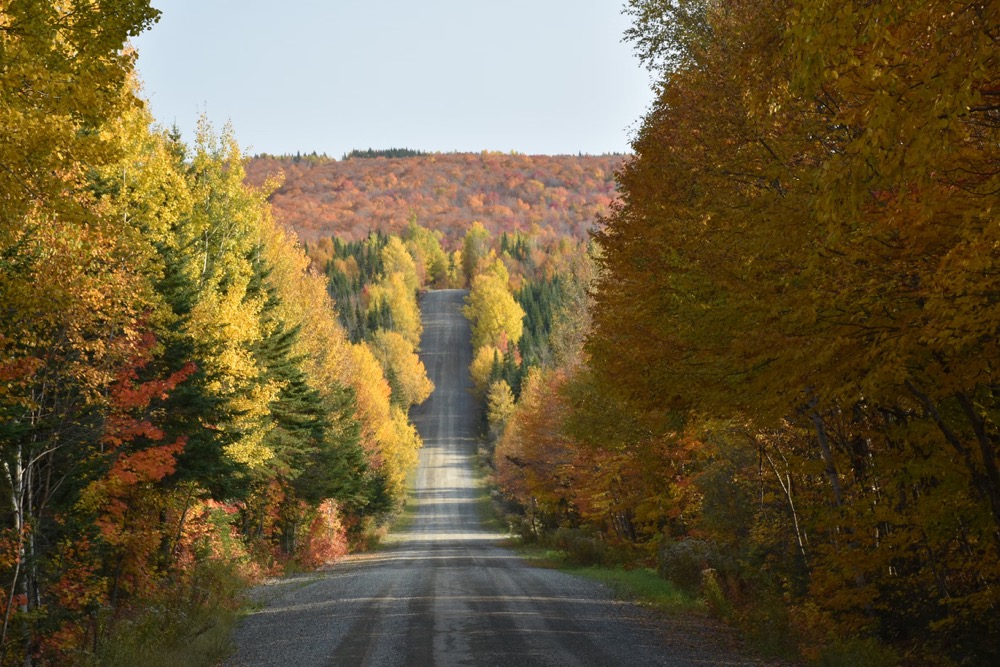 Fall foliage Quebec on Charlevoix scenic route