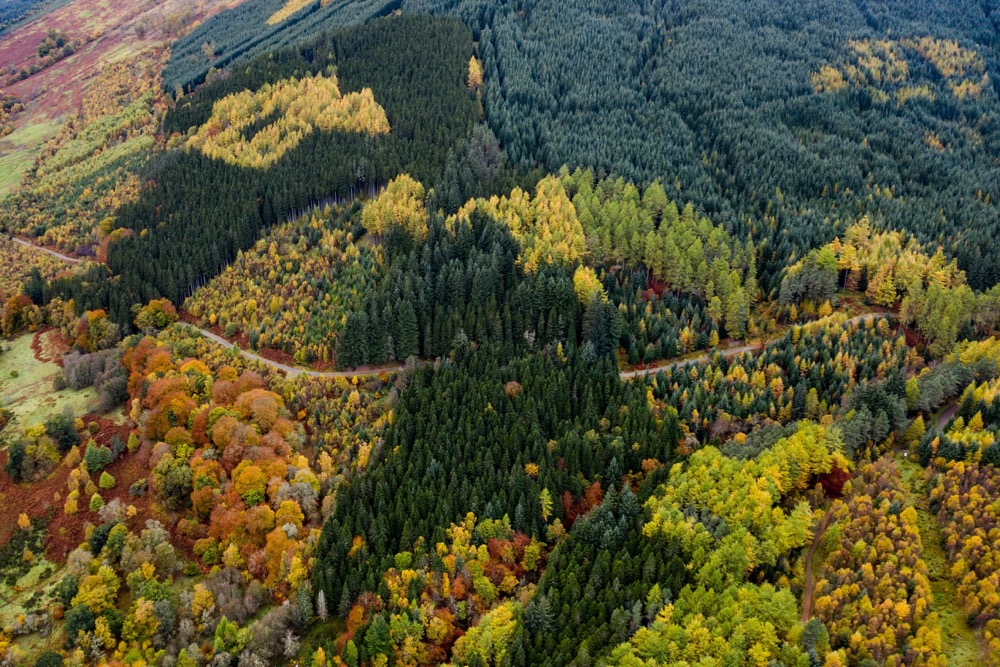 Escape the Heat August USA mountain view
