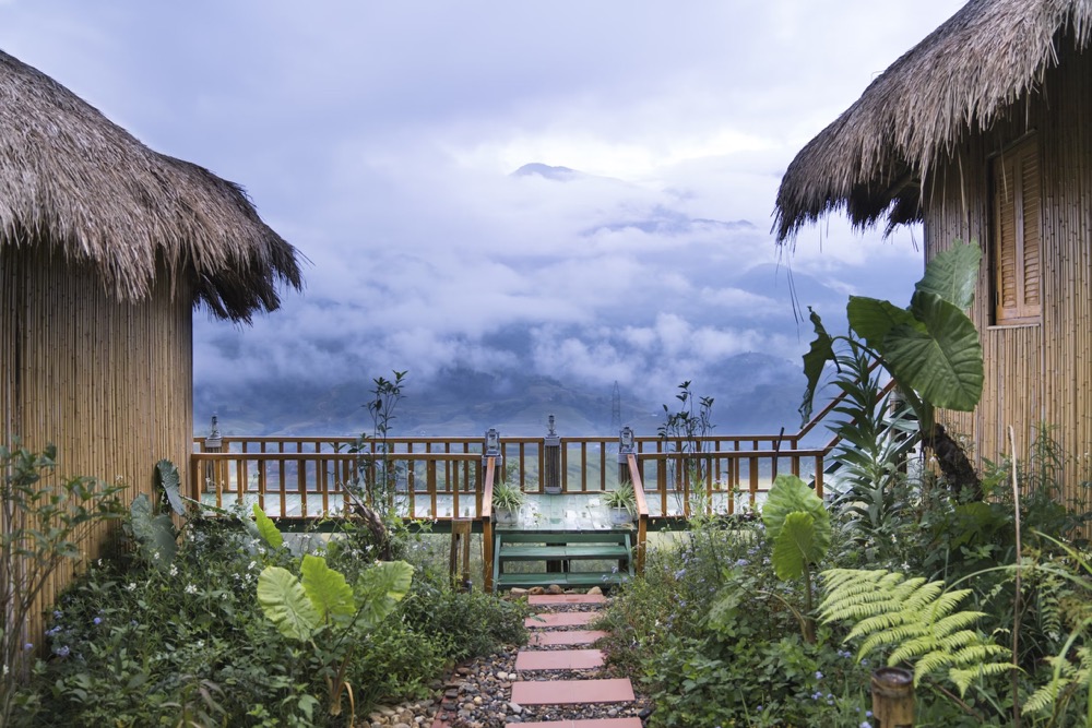 Jungle glamping North America