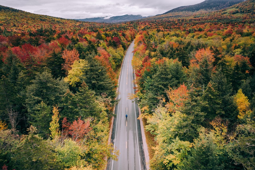 Fall foliage New England along Kancamagus Highway in New Hampshire