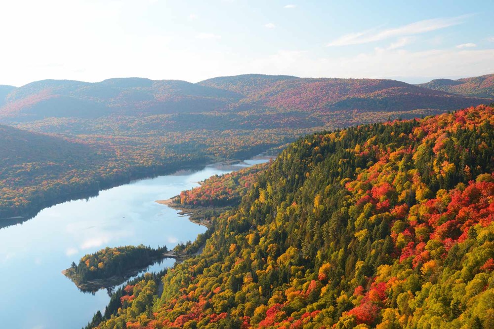 Quebec autumn forest fall foliage