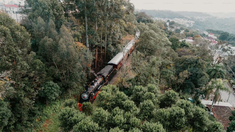 Scenic train journeys Australia through the red outback