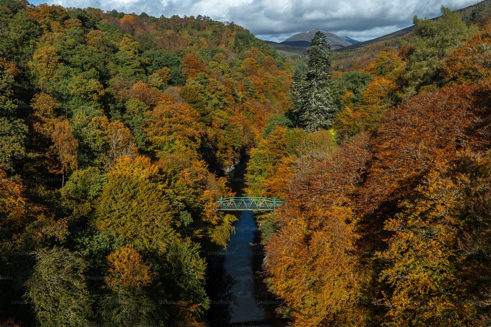 Fall foliage New England in Vermont along Route 100