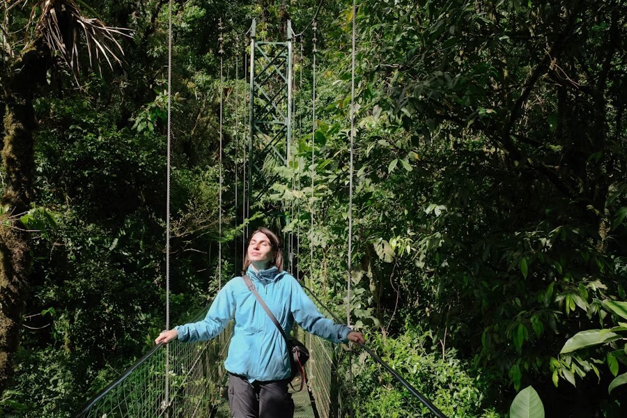Treehouse lodge deep in Daintree rainforest - JOMO travel Australia experience