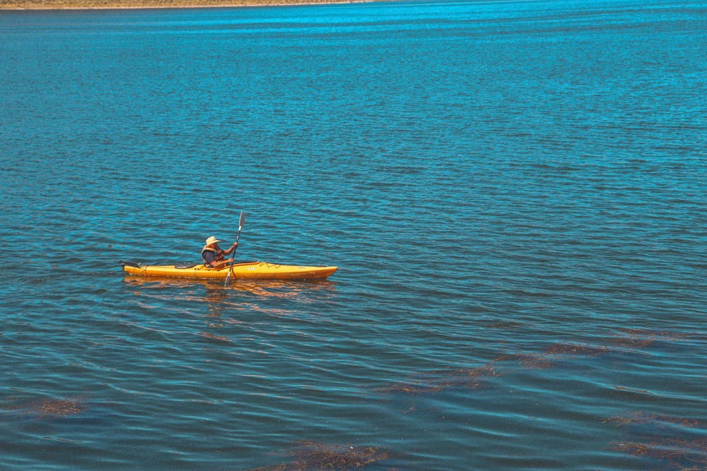 Lake Ouachita August kayaking