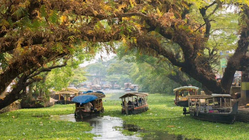 Autumn destinations India map for best fall foliage