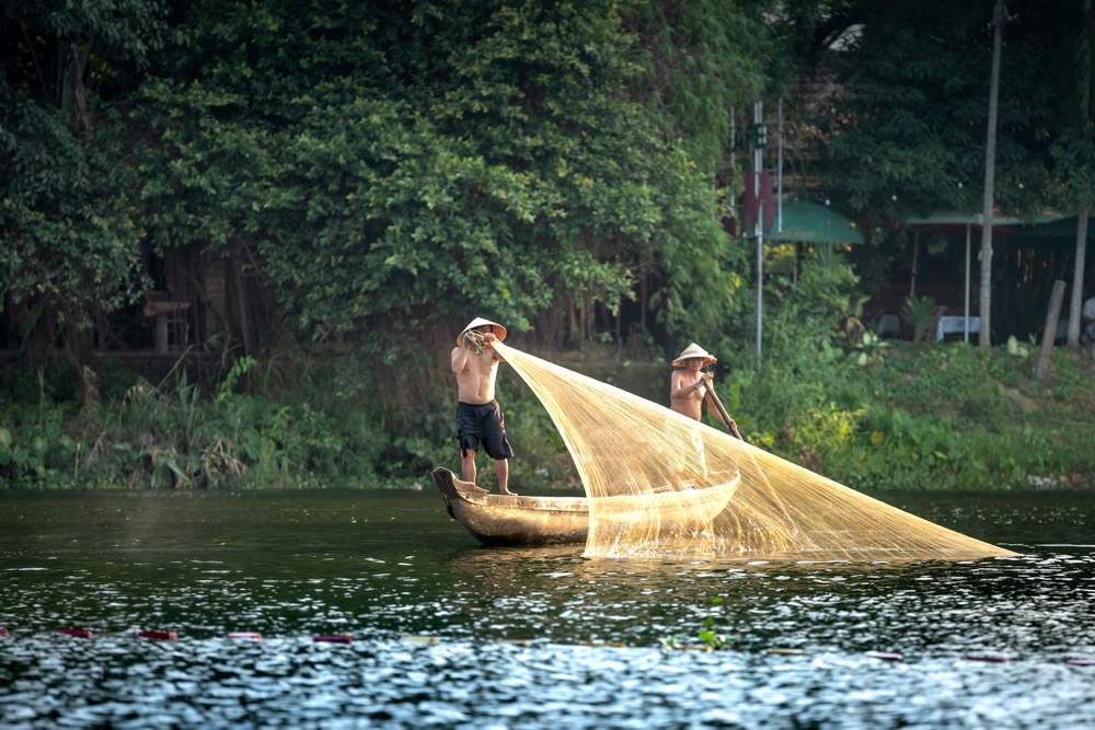 Peaceful market day in Bellingen, an ideal JOMO travel Australia town
