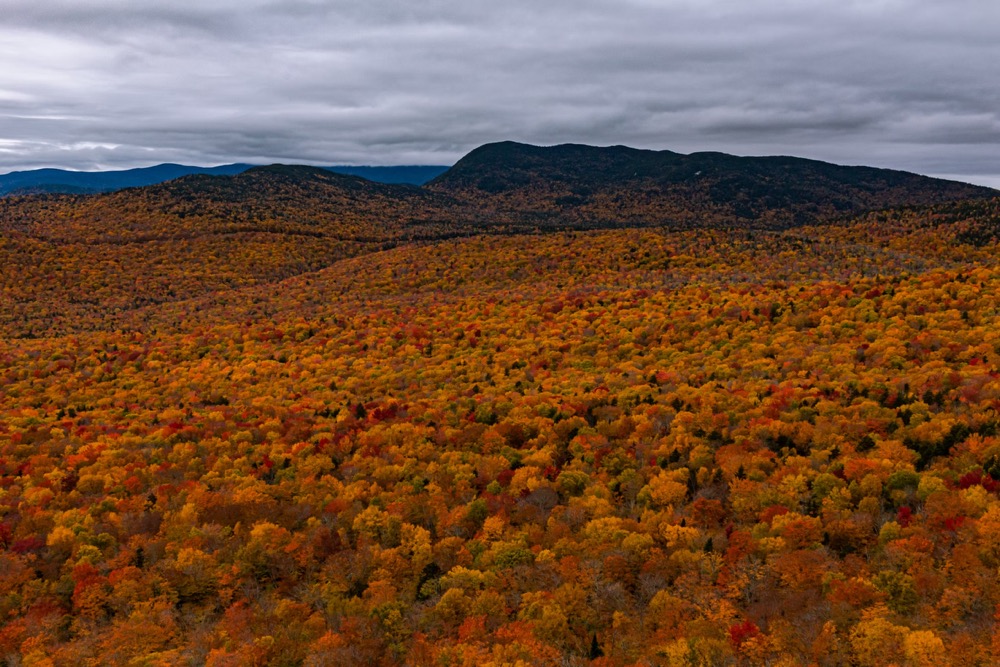 Fall foliage New England peak season map