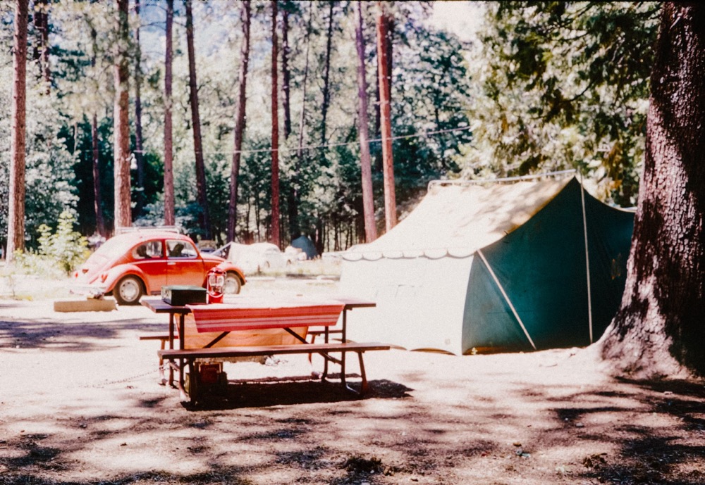 Redwood glamping North America