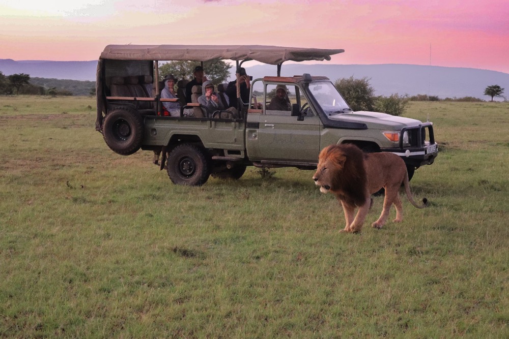 Tipping on a Kenya Big Five Safari