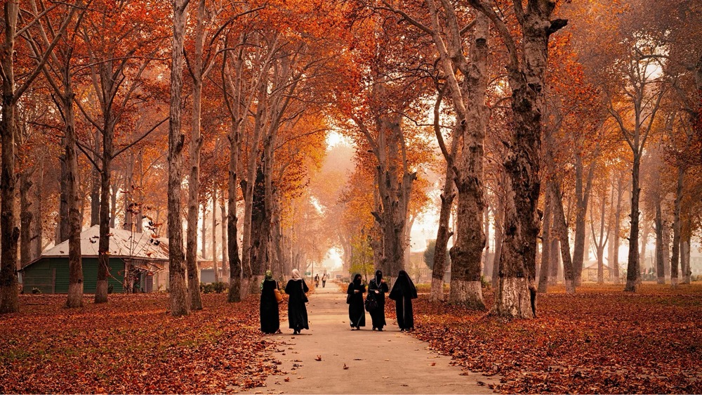 Autumn destinations India in Rajasthan