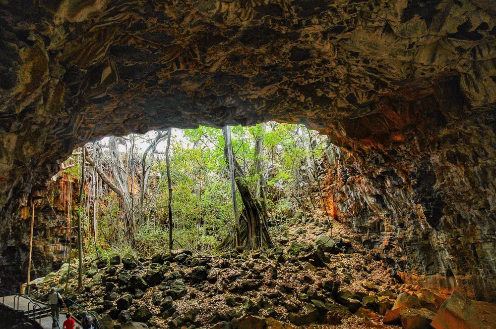Exploring the lava tunnels of Undara on a volcanic hike in Australia