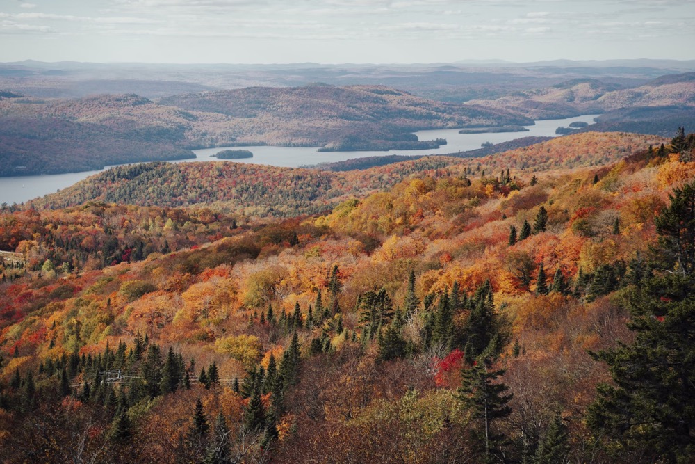 Fall foliage Quebec in Charlevoix and Gaspé Peninsula