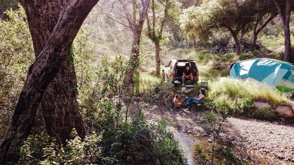 Wollemi National Park - best off-the-beaten-path hikes in Australia