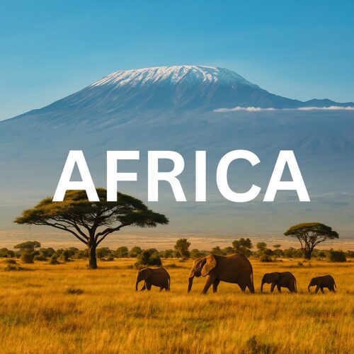 Africa Travel Guide - Safari in Tanzania with elephants