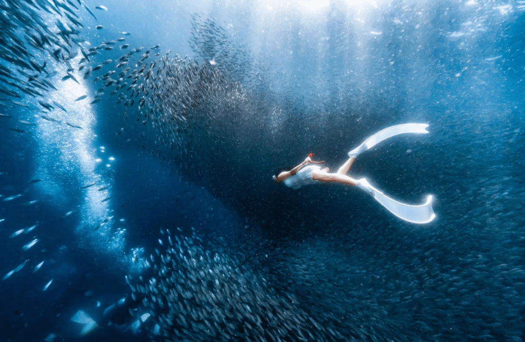 Snorkeling in Moalboal with sardines β Cebu travel guide 2025