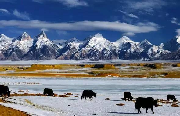 Pamir Highway mountain view with yaks – Epic 10-day travel itinerary in Tajikistan