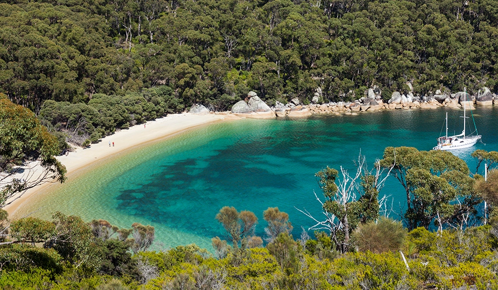 Remote beach camping at Wilsons Promontory in Victoria, with hikers' tents near Sealer’s Cove and crystal-clear water.