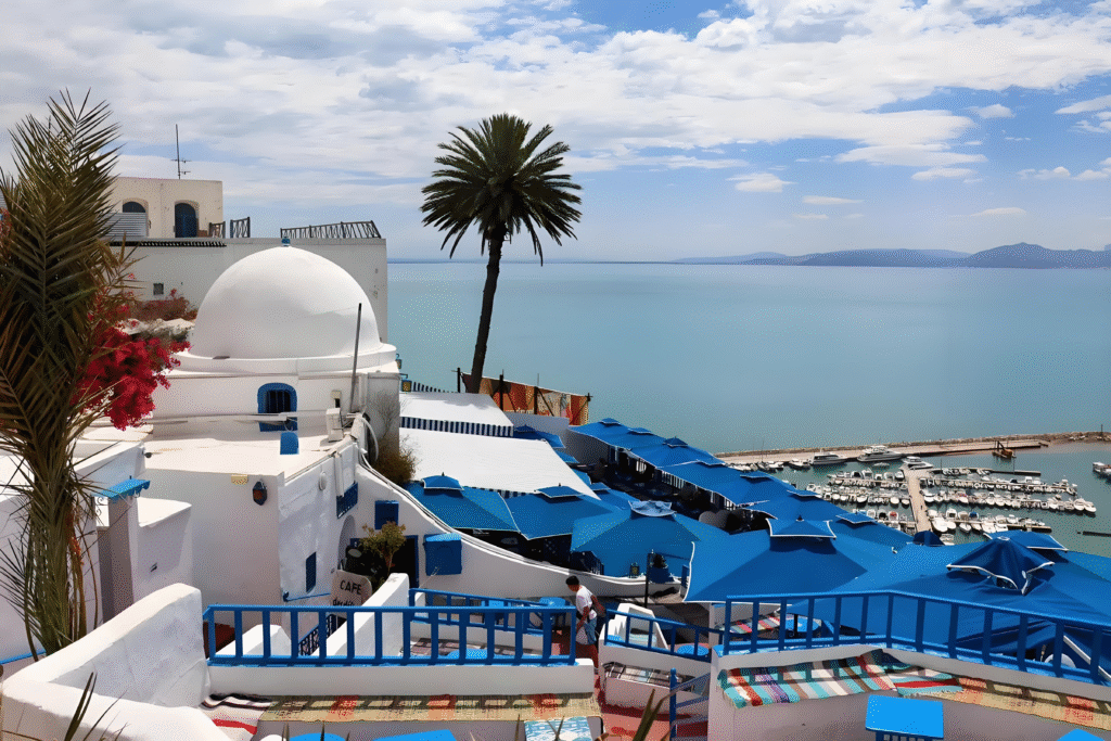 View of Sidi Bou Said village β Ultimate Tunisia travel guide for first-time visitors 2025