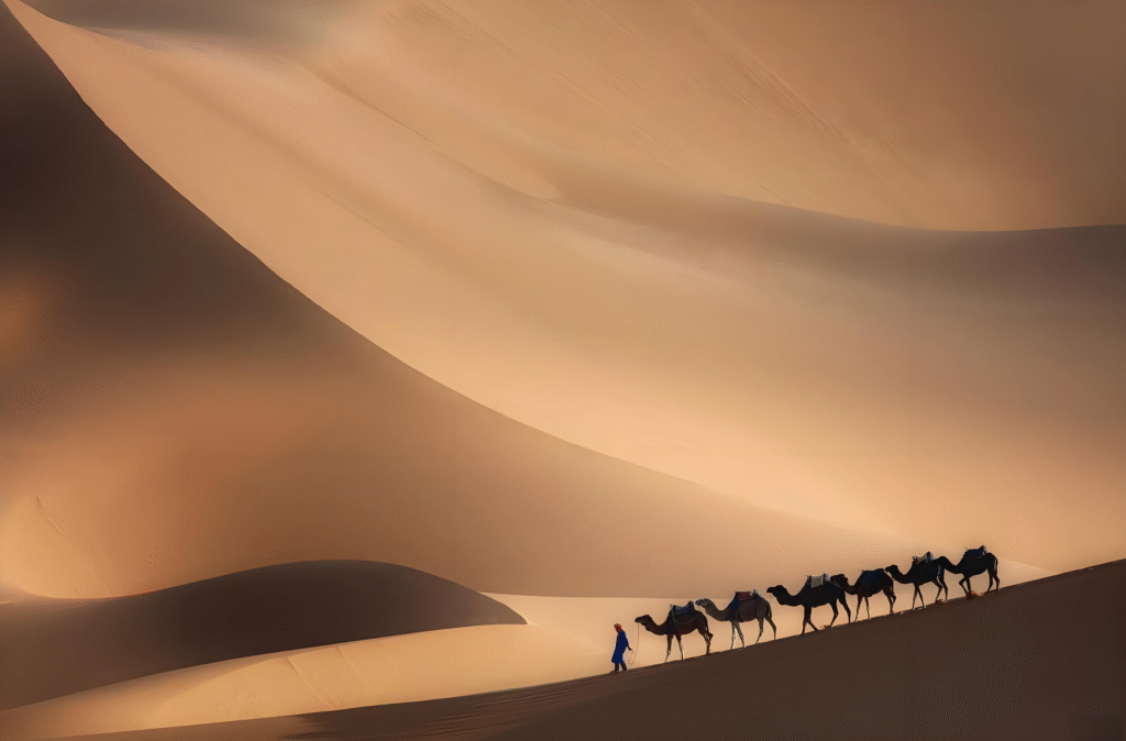 Sunset camel ride in the Sahara Desert – Best 5-day trip to Morocco