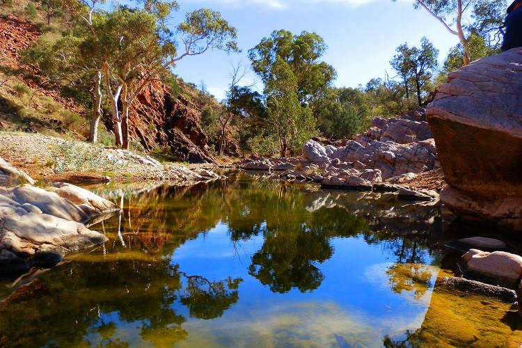 Stargazing from observatory in remote Flinders Ranges outback