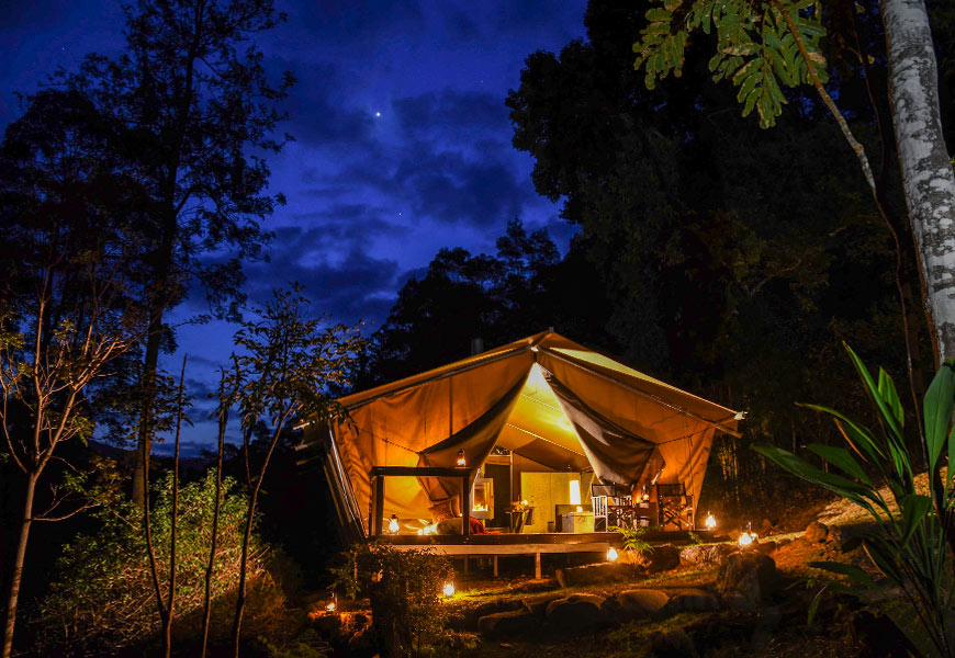 Glamping site under clear night sky in Queensland rainforest edge