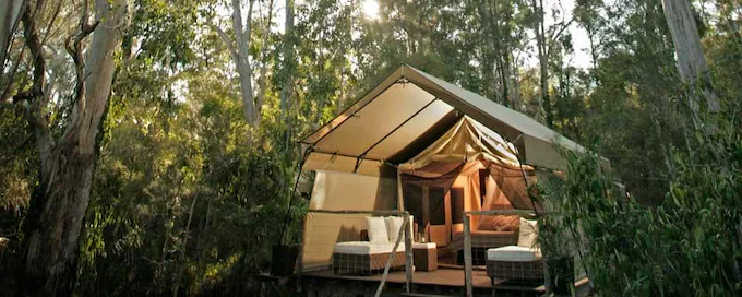 Luxury tents at Paperbark Camp in New South Wales