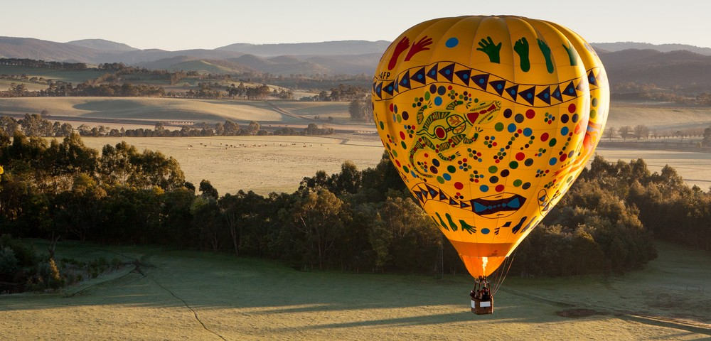 a hot air balloon in a field