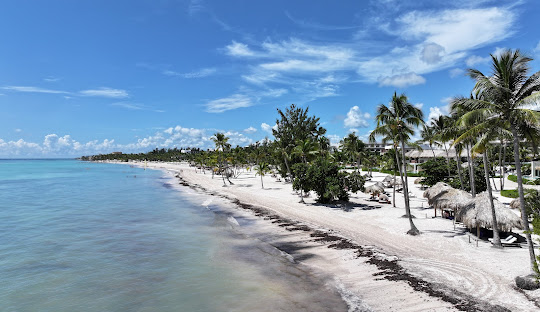 Punta Cana family trip guide for 2025