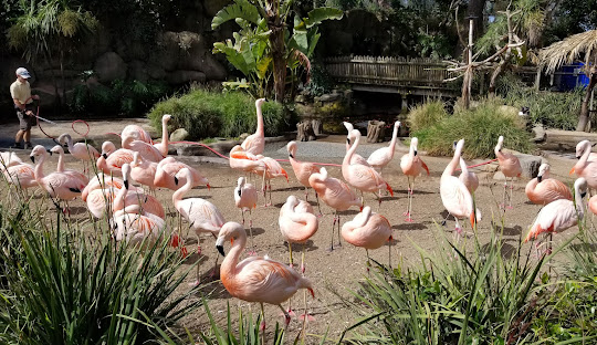 5-day August travel guide to Santa Barbara