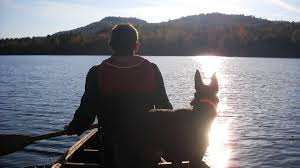 Weekend Getaways with Dogs in the USA