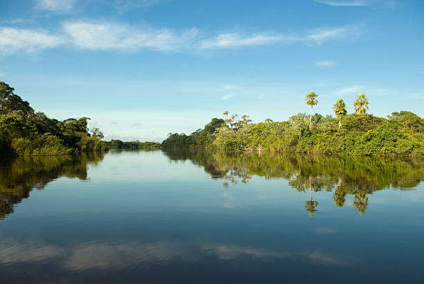 Expansive wetlands, colorful macaws, and jaguars in their natural habitat make your Pantanal Brazil 5 Day Itinerary an unforgettable wildlife adventure