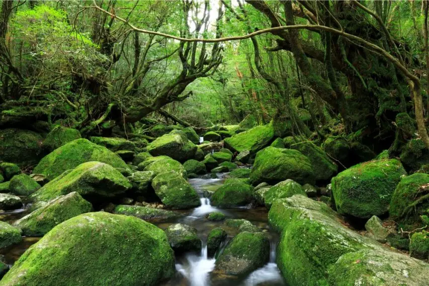 crowd free destinations in Japan