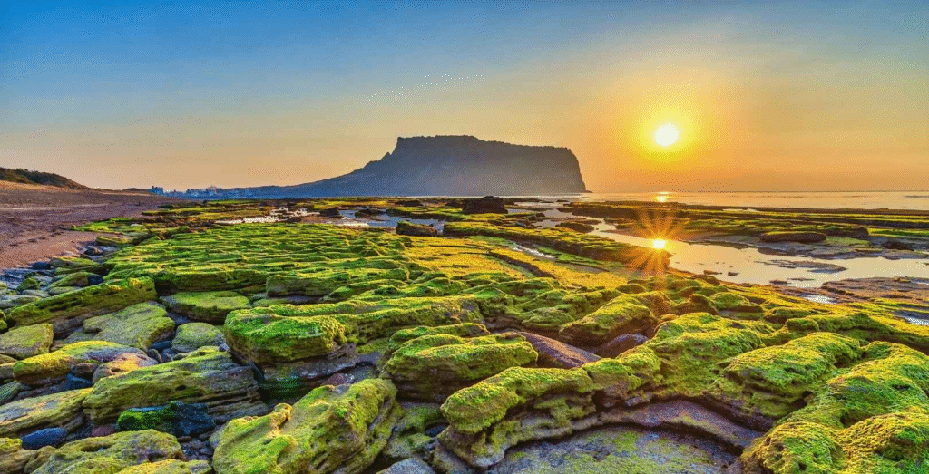 jeju island travel guide americans 2025 visa free entry